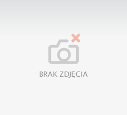 PIWO DESPERADOS RED 6%al.0,4l b./15szt/